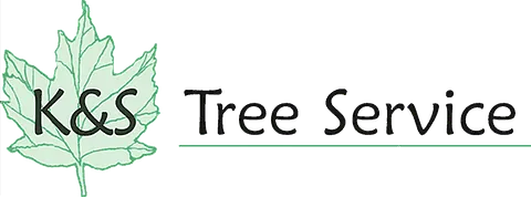K&S Tree Logo