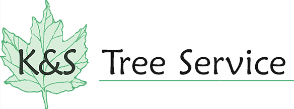 K&S Tree Logo